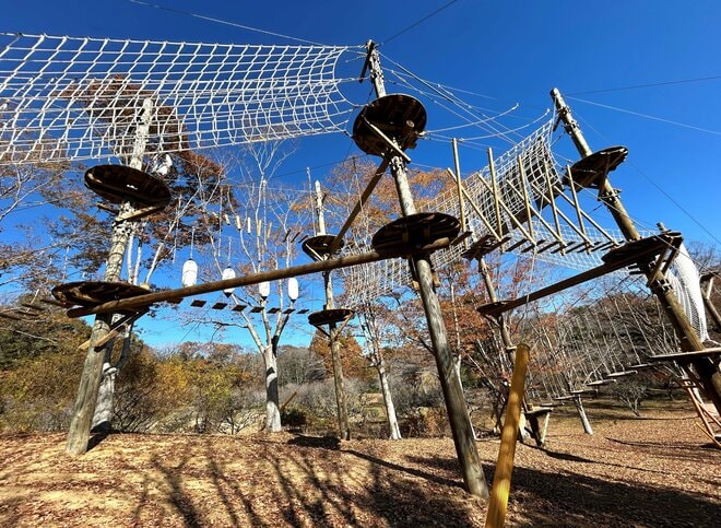 【茨城県】もう「都道府県魅力度ランキング」最下位常連なんて言わせない！？  ここを体験するだけでも茨城に行く価値アリ！  “泊まれる植物園” がコンセプトの新感覚アウトドアリゾート「ボタニカルリゾート林音（りんね）」【内覧会リポート】の画像015