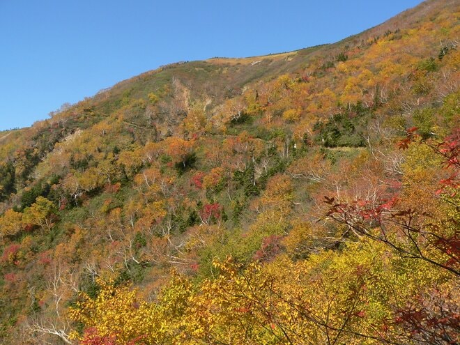 【特集 そこに山小屋を興して】北アルプス山小屋ヒストリー 第12回『冷池山荘・種池山荘・新越山荘』 鹿島槍ヶ岳や爺ヶ岳を登る拠点として、大切に守り続けた「人」「小屋」「道」の画像006