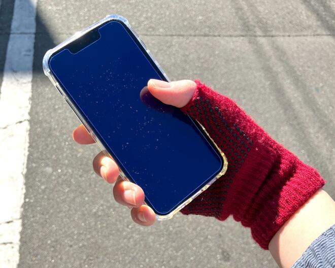 「ワークマン活用」で、冬のディズニーへ行ってみた！ 女子コーデのツボ「コスパ・防寒・見た目」を押さえた総額2,500円のアイテムとは？【屋外レジャーの参考に】の画像002