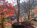 燃えるような紅葉の「鍋割山」へ！  目にも鮮やか「秋色の登山道」に癒やされ＆足を止め… 絶景「11月・丹沢ハイキング」の画像001