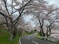 「最少ギア」で何もしない「脱力キャンプ」！ 「サウナ・焚き火・グルメ」を満喫する「俺のゆるキャン△」レポの画像002
