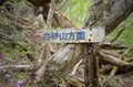 「山の上にビーチ」が出現！  ロープウェイを賢く下山に使う静かでお手軽な穴場ルート“羅漢寺山＆白砂山”への画像011