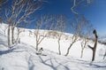 【ニセコ東急 グラン・ヒラフ　北海道】春スキー「第二のシーズン」スタート！  絶景の残雪ロングコースを存分に味わおうの画像004