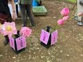 真夏の谷戸に広がるハス田が見頃！ グルメも充実『ハスまつり』意外な生き物との遭遇も【東京都町田市】2023年の画像003