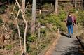 「高尾山」の次に登りたい「都心から2時間で登山口」の低山3選！　達成感がある「筑波山」 富士山も見える「大野山」 縦走にチャレンジ「高水三山」の画像004