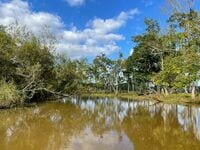 運動不足＆初心者でも問題ナシ！ 日本とは思えない自然の絶景「釧路湿原カヌーツアー」【初体験レポート】