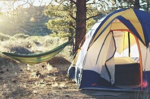 【千葉県内キャンプ場 人気ランキング！ TOP5】第1位は「マザー牧場 オートキャンプ場」  第2位は「成田ゆめ牧場ファミリーオートキャンプ場」