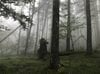 【富士山の次に登る山 vol.2】登山の魅力はムゲン大「美林を楽しむ山歩き」 上高地・甲武信岳・北八ヶ岳