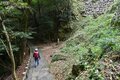 歴史のロマンを感じる登山 “金華山” 岐阜城で「城下を見下ろし殿様気分！？」瓦越しに広がる森と街のコントラストが異次元！【岐阜県】 2024年の画像008