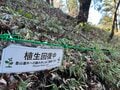 冬に開く“氷の花”！ 「霜柱」ではない「シモバシラ」を探しに初冬の高尾山へ【最後の最後に出会えた氷の芸術品“氷華”】東京都・2023年の画像006