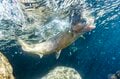 大注目！「自然渓流そのまま」の管理釣り場で大物ヤマメ・イワナを狙う〈吉ヶ平フィッシングパーク・新潟県＞の画像008