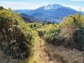 息を呑む「富士山と箱根」のパノラマ絶景！  山頂で名物「なめこ汁」が待つ「初級者向け標準コースタイム3時間」の「金時山」登山レポートの画像002