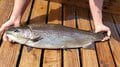 「ニジマス」と「キングサーモン」の交配で誕生した世界でも希少な養殖魚！  山梨県の「富士の介」とは？の画像001