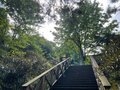 ＜紅葉前に“関西屈指”のススキの大海原もお見逃しなく！＞大阪市内から“車で小一時間で行ける”「岩湧山」ハイキングルート【里山アドベンチャー！ソトアソ日和 vol.７】の画像029