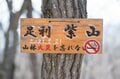 【首都圏近郊】春の週末ハイキングおすすめルート「足利アルプス」は標高の割に高度感＆歩き応え＆夜景が抜群！の画像008