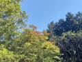 駅スタート・ゴールできる低山縦走「飯能アルプス」人気の山「伊豆ヶ岳」＆足腰のお守り “特大わらじ”「子ノ権現」参り！ 「登山レポ」の画像004