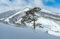 3月下旬のハイシーズン！？  季節外れの大雪に歓喜するスキーヤー、スノーボーダーたち 「斑尾高原スキー場」 長野県の画像001