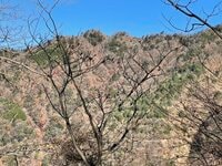 700ｍ前後の低山でも侮れない岩稜＆展望！  丹沢「革籠石山・仏果山・高取山」縦走レポ！  青い「宮ヶ瀬湖」見下ろす、“コースイチ”絶景スポットとは？