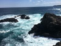【海釣り】波の高さと釣果の関係「ベタ凪では釣果が上がらない」のなぜ？  釣れやすい「波の高い時」理由と目安とは「考察レポート」