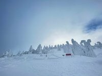 ゴンドラで観に行ける高さ5ｍの「スノーモンスター」！「日本三大樹氷」秋田県・森吉山で出会える絶景とは？