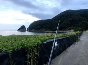 楽しみ2倍のはずが… 釣りとソロキャンプの融合「釣りキャンプ」はなぜ難しいのか？「失敗しづづけたライター」が明かす「3つの困難ポイント」