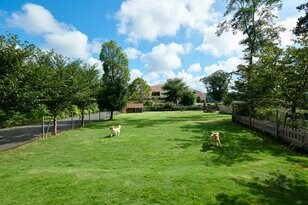 遊びも食事も愛犬と一緒に楽しめるリゾート！「小谷流の里 ドギーズアイランド」新施設「ドギーズサウス」追加でさらに充実！