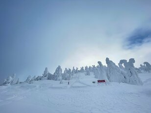 ゴンドラで観に行ける高さ5ｍの「スノーモンスター」！「日本三大樹氷」秋田県・森吉山で出会える絶景とは？