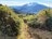 息を呑む「富士山と箱根」のパノラマ絶景！  山頂で名物「なめこ汁」が待つ「初級者向け標準コースタイム3時間」の「金時山」登山レポートの画像002