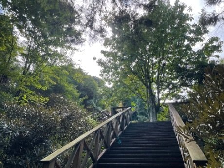 ＜紅葉前に“関西屈指”のススキの大海原もお見逃しなく！＞大阪市内から“車で小一時間で行ける”「岩湧山」ハイキングルート【里山アドベンチャー！ソトアソ日和 vol.７】の画像029
