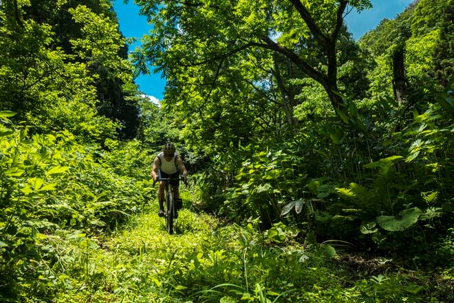 【自転車】気分はヨーロッパ！？  しなの鉄道の「サイクルトレイン」を利用して訪れる “野尻湖・北信濃里山グラベルライド” 「天国と地獄が入り乱れるトレイルの先に、想像以上の絶景が！」 新潟県・長野県｜2026年の画像004