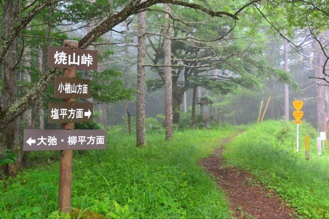 猛暑に行きたい避暑登山「小楢山」 標高1,526mの登山口から、爽快な高地山行！  暑さに根負け？  弱気なシニア女性のため計画＆実行！  結果とはの画像003