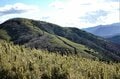 富士の絶景まで1時間！「金時山」登山の最短ルート「金時見晴パーキング」から“天下の秀峰”の山頂へ〈登頂レポ〉【神奈川県・南足柄市】の画像005