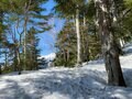 【残雪期登山】「いつかは登ってみたいマイナーな山」北アルプスの展望台・十石山へ！  山頂からは絶景が待っていた！ ＜2022年・長野県・岐阜県＞の画像002
