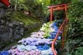 「京都」知る人ぞ知る「アジサイの名刹」約27種・5,000株に彩られる境内は絶景！  天王山「柳谷観音 楊谷寺」低山ハイキングの画像008