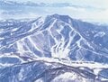 「かぐら、舞子」など首都圏から “アクセス抜群” の湯沢エリア、「斑尾、タングラム、シャルマン」など豪雪がもたらす “パウダーフリークの聖地” の信越エリア【ツリーランが滑れる全国スキー場ガイド vol.3  湯沢・信越 編】の画像011