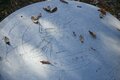 ”整える” 山旅！  甲府盆地の「超低山」と「温泉銭湯」を巡るショートトリップ【南アルプスの日々 vol.10】の画像005