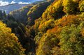 【上信越高原国立公園】「見頃になりました！」紅葉に彩られた赤い橋“高井橋”と松川渓谷“雷滝”  長野県高山村・2023年の画像001