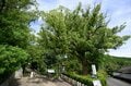 【鹿児島県 霧島市】気分爽快「E-bike」ならではの霧島の旅！  鹿児島空港からはじめる “名所めぐり”「鹿兒島神宮～錦江湾」までの画像006