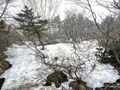5月の福島で残雪＆暴風体験！【安達太良山＆一切経山】女子3人ハイキング～ライト登山のつもりが「ガチ冒険」になった1泊2日全記録～の画像007
