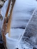 冬に開く“氷の花”！ 「霜柱」ではない「シモバシラ」を探しに初冬の高尾山へ【最後の最後に出会えた氷の芸術品“氷華”】東京都・2023年の画像013
