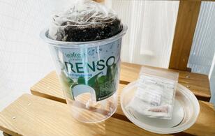 アウトドアにプラスワン！  自家製野菜で「キャンプ飯」！  ベランダでほうれん草は育つのか？