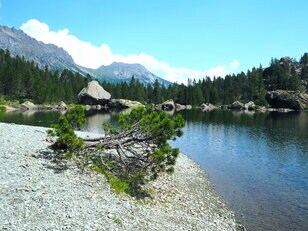絶景スポット満載！ 1泊2日で歩き尽くす「アヴィック山自然公園」の登山道（前編）【ブーツの国の街角で vol.28】