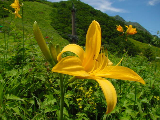 全国屈指のアウトドアの聖地「群馬県みなかみ町」日本百名山“谷川岳”と日本最大級の河川“利根川”に抱かれた麓は温泉パラダイス！の画像007