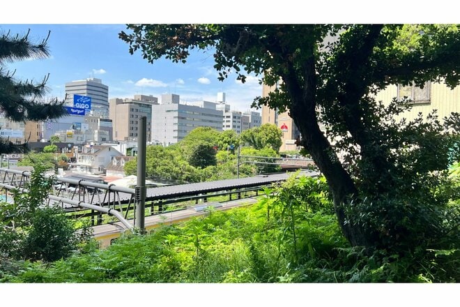 約8時間・25kmの「千代田区一周」ガーミン「Fenix 8」装着で踏破！  ログから浮かぶ「江戸城」のスケール【スマートウォッチで都内ウォーキング vol.2】の画像008