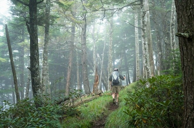 【日帰りでもしっかり登りたい！】首都圏からのアクセス＆登り応え抜群「八ヶ岳・編笠山と権現岳」の画像007
