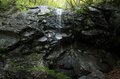 【6月におすすめしたい大展望の難読山】西上州の最高峰「御座山」って読めますか？  気になるシャクナゲの咲き具合もレポートの画像011