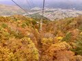 【2024年11月 第1週】今週末の紅葉の見ごろは？ 名所＆人気スポットの最新情報をお届け「WEEKLY紅葉ニュース」の画像004