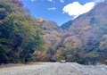 冬シーズンもオープン！「現地在住記者が教える」神奈川・丹沢エリア【昔ながらの穴場キャンプ場】おすすめ3選の画像003