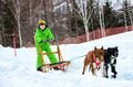 【春スキー】暖冬少雪の「春スキー＆スノボ」は北海道がおすすめ！  旅行代金も「インバウンド需要ひと段落」で落ち着く時期の画像003