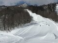 【つがいけマウンテンリゾート】栂池に降る極上の雪「TSUGA POW」に魅了されること確実！ 白馬エリア随一のビッグゲレンデの画像004